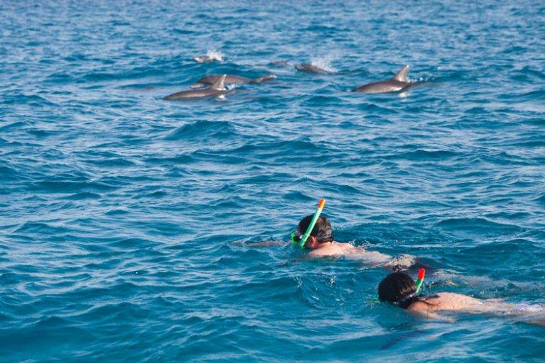 excursions au kenya et en tanzanie