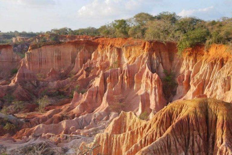 excursions au kenya et en tanzanie